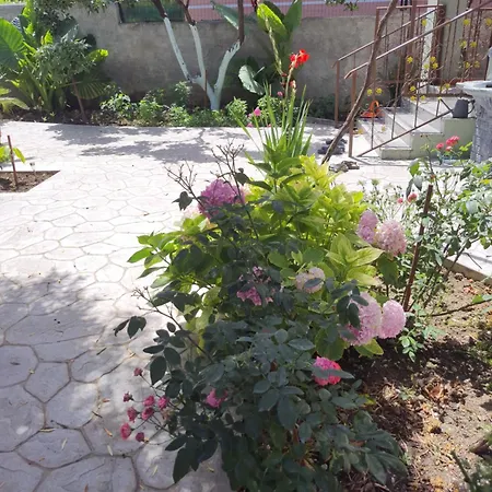 Peaceful Home, Garden&garage בית אירוח Vlorë