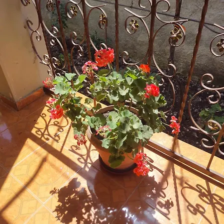 Peaceful Home, Garden&garage Vlorë